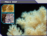 Click here to view all of Paul's photos!